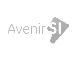 creation-site-internet-lausanne-avenir-si-nyon