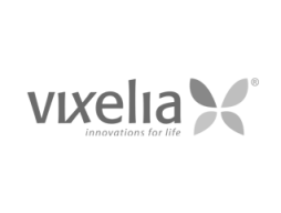 logo-vixelia2x