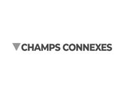 creation-site-internet-wordpress-champs-connexes2x