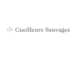 marketing-digital-cueilleurs-sauvages2x