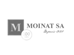 marketing-digital-moinat-antiquaire2x