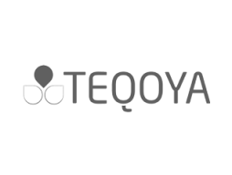 marketing-digital-teqoya2x