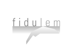 creation-site-internet-fiduciaire-fidulem2x