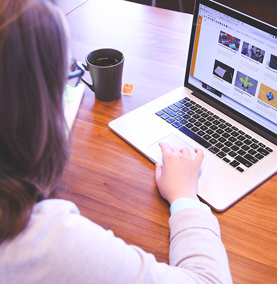 wordpress-ou-prestashop wordpress-ou-prestashop
